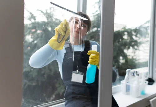 Nettoyage de vitres intérieures et extérieures à Pousseaux